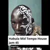 Megafrica - Habula Mid Tempo House Jam 45 - Single